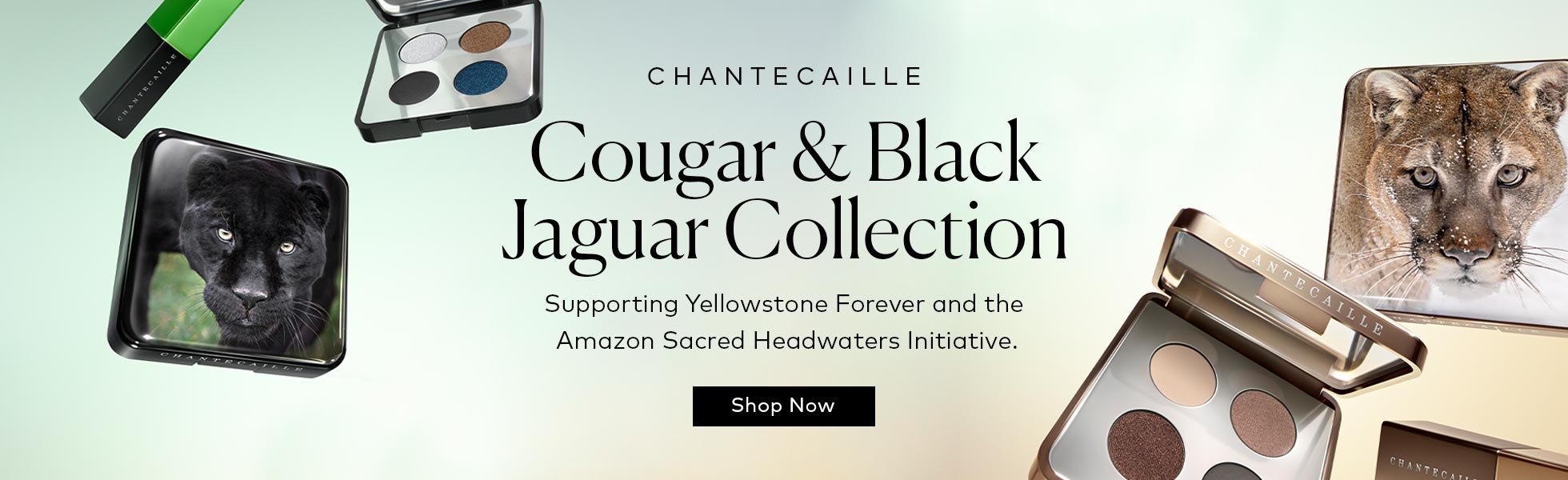 Shop the Chantecaille Yellowstone Collection on Beautylish.com