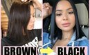 HOW I DYE MY HAIR AT HOME FROM BROWN TO BLACK | Diana Saldana