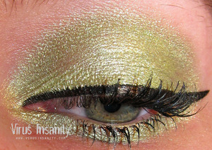 Virus Insanity eyeshadow, Avarice.

www.virusinsanity.com