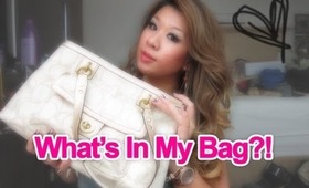 What's In My Bag? (Updated Tag)