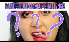 BLINDFOLDED MAKEUP CHALLENGE TAG!