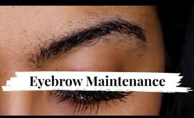Eyebrow Maintenance Tutorial for Beginners I Before and After I AssyrianBeauty