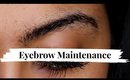 Eyebrow Maintenance Tutorial for Beginners I Before and After I AssyrianBeauty