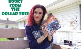 Dollar Tree Haul  Books!