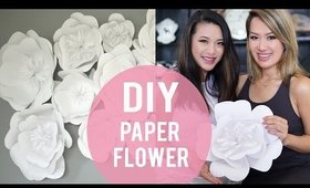 DIY Paper Flower BackDrop | ANN LE & FrmHeadtoToe