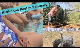 Vlog⇢ Hittin' the Pool, Volunteering at the Zoo, & Finally Gave PLASMA!!!