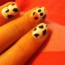 Cow Nails🐄