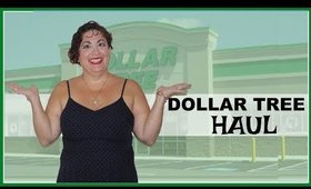 Dollar Tree Haul
