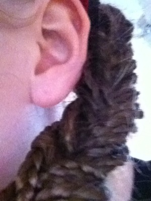A bunch of little braids braided into a fishtail braid:):)