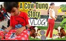 His Office Party ,Cow Dung Business,Ortto Singapore | A Day In My Life Vlog | Superprincessjo