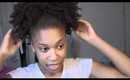 Hair Tutorial:  Quick Styling (Day 6 - Sunday)  Classic Puff