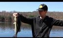 Spring Fishing: Large Mouth Bass