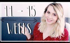 11 to 15 Weeks Pregnant | First & Second Trimester + ULTRASOUND PICTURES!