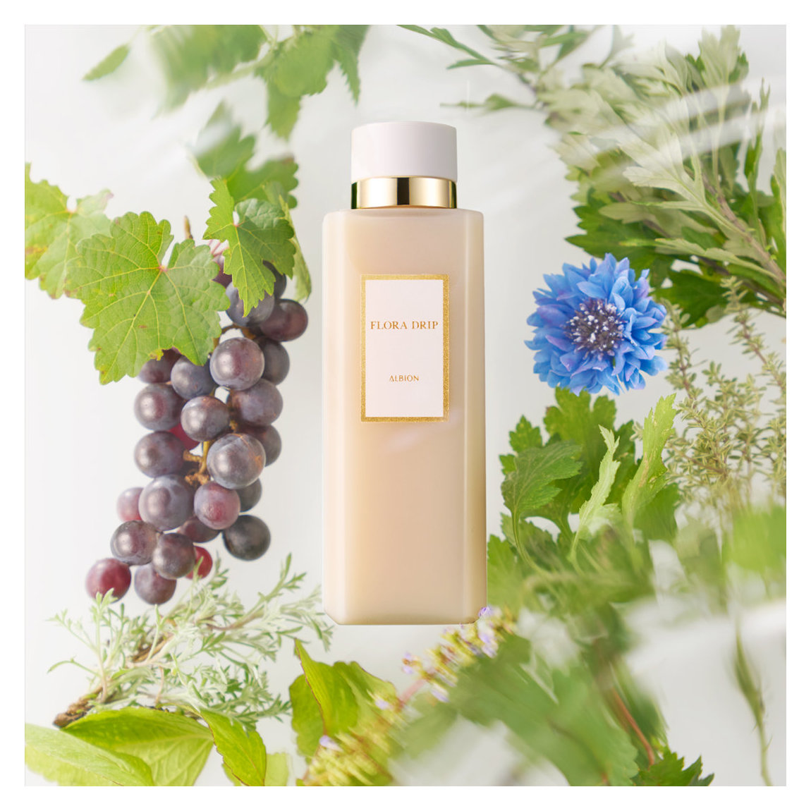 トライアルセット・サンプル ALBION FLORA DRIP EXTRA KIT ALBION FLORA DRIP トライアルセット 4パック - メルカリ