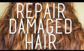 How to Repair Damaged Hair