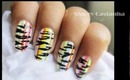 Colorful Zebra stripes.. :)
