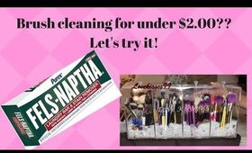 Clean a TON of brushes for under $2!