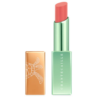 Sea Turtle Collection Lip Chic Ginger Lily