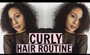 How To: My Curly Hair Routine // Kayla Lashae