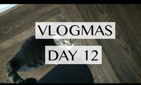 Cat trying to kill me | Vlogmas Day 12