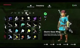 Girl plays Breath Of The Wild Part 10.5.2