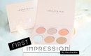 Anastasia (ABH) X Nicole Guerriero Glow Kit | First Impression - Swatches/Demo | PantherRin
