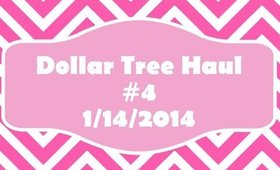 Dollar Tree Haul #4 - 2/14/2015