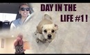 Day in the Life #1! Driving, Puppies, and P90X