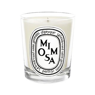 Diptyque Mimosa Scented Candle