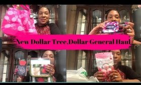 Dollar Tree,Dollar General Haul *New Finds*