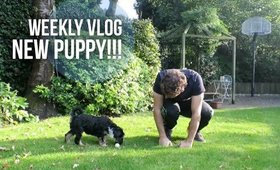 New Puppy!!! | Lily Pebbles Weekly Vlog