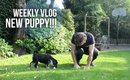 New Puppy!!! | Lily Pebbles Weekly Vlog
