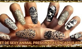 SET DE SEXY ANIMAL PRESIONADAS ENCAPSULADAS