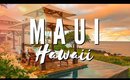 MAUI HAWAII THINGS TO DO | [ Is it REALLY This Amazing!? ] 🐙