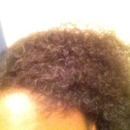 My hair after being deep conditioned and moisturized!