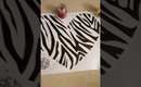 C67107 Cukudy Zebra Wall Stickers/700 Pieces Black Mixed Wiggle Googly Eyes