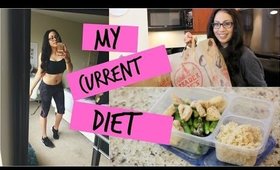 My Current Diet // Grocery Haul & Meal Prep!