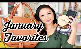 JANUARY FAVORITES 2016