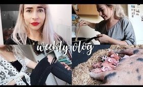 ASOS FAIL + MEETING PIGLETS! Weekly Vlog #17