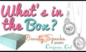 Origami Owl Business Package Unboxing