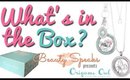 Origami Owl Business Package Unboxing