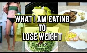 What I Ate Today! ( 42 lbs down! )