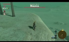 Girl plays Breath of the Wild BLIND STREAM PLAYTHROUGH. Part 22