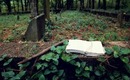 SPOOKY SOUTH: Abandoned Slave Cemetery