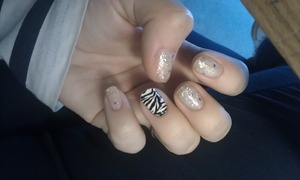 Zebra and glitter!