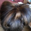 Hair Bow