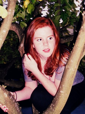 in a tree