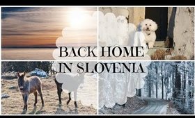 Back Home in Slovenia | Vlog