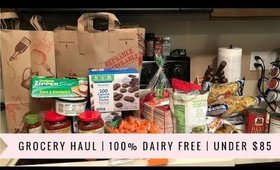 Cheap, DAIRY FREE Grocery Haul | Under $85 for 2 Weeks of Food!