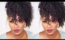 Quick & Easy Holiday Hairstyle | Wash N' Go Side Puff Updo | Shlinda1